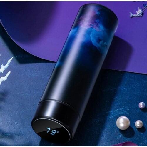 450ML Thermos Vacuum Flasks Temperature Display 304Stainless Steel My Hot Water Bottle Travel Coffee Mug Tea Milk Mug Thermo cup