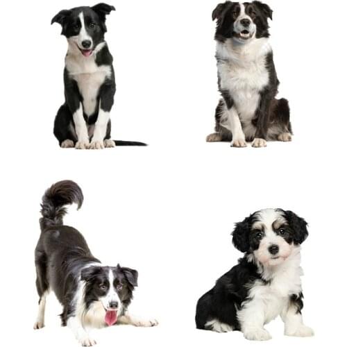 Dawasaru Border Collie Dog Car Sticker Waterproof Cover Scratch Decal Laptop Truck Motorcycle Auto Accessories PVC,19cm*15cm