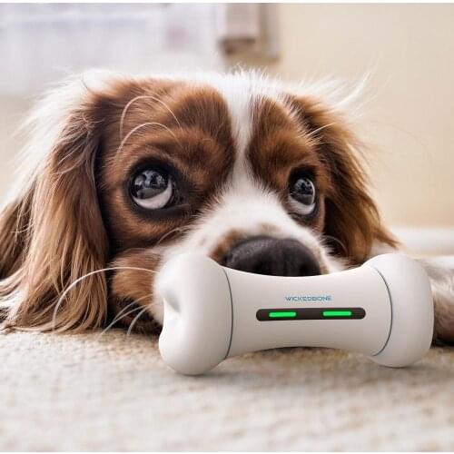 2020 New Pet Toy WICKEDBONE Smart Pet Emotional Interaction Bone APP Control Pets Emotions Toy for Dog