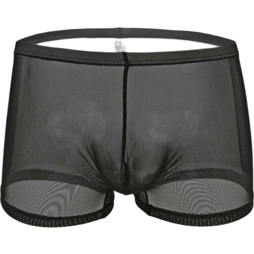 Sexy Men Plus Size Mesh See Through Boxer Transparent Breathable U Convex Pouch Boxer Underwear Gay Wear Low Rise G-string F7