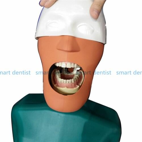 Good Quality Senior Manikins Model With Torso It can be fixed on the dental chair for any position practice