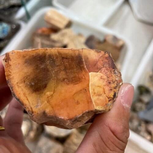 100-800g 1pcs natural stones and minerals crystal woodstone fossil tree for home decoration wooden tree fossil