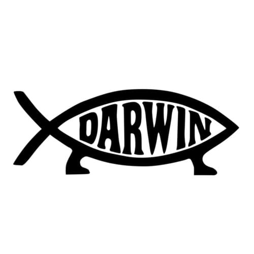 Funny Car Sticker Darwin Fish Decal For Cars Auto Bumper Window Door Body JAYJOE Dropshipping Vinyl Car Stickers