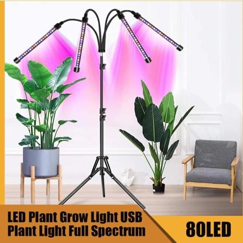 LED Grow Light USB Phyto Lamp Full Spectrum Fitolampy With Control For Plants Seedlings Flower Indoor Fitolamp Grow Box
