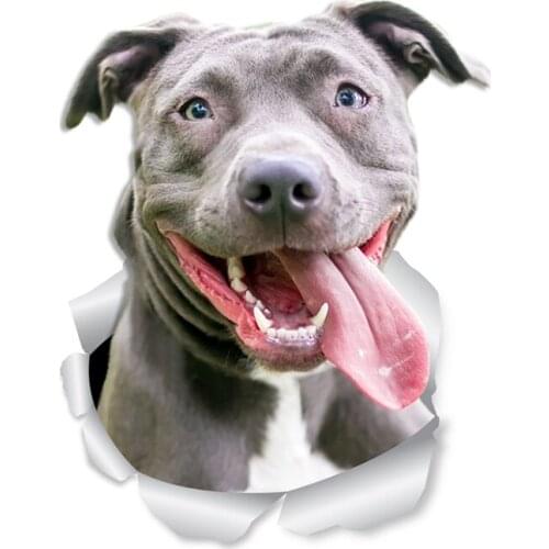 B0578# 13CM 17 CM Self-Adhesive Decal Happy Pit Bull Breed Car Sticker Waterproof Auto Decors on Bumper Rear Window Laptop