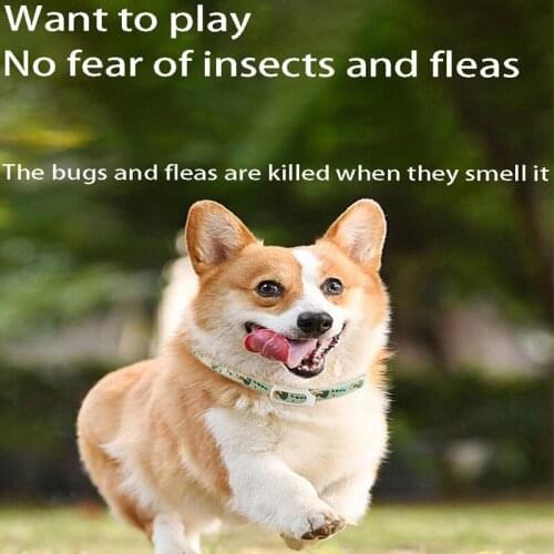 Essential Oils for Dogs, Insect Repellent Collars, Dog Accessories, Cats, Fleas and Mites, Collars, Pet Collars, Pet Supplies