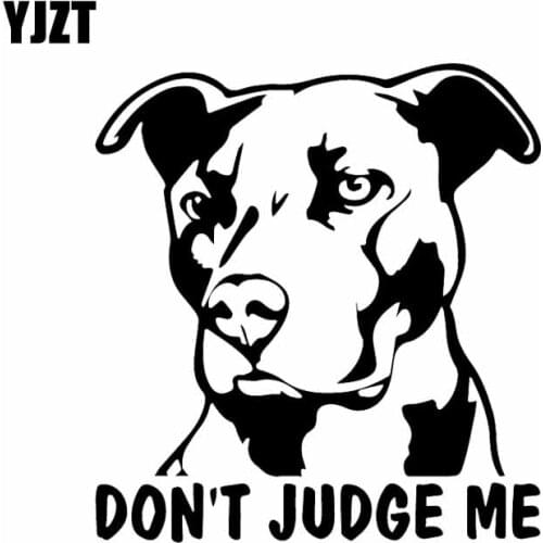 YJZT 13.7X14.8CM Don't Judge Me Pitbull Vinyl Decal Car Sticker Puppy Dog Animal Black/Silver C24-1381