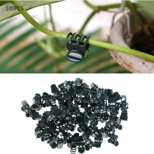 100 units Tutors Plants, Plants Climbers Media Clip Fastener Plant Vine To Vine Tomatoes Vegetables 1.5 X 1.3 Cm