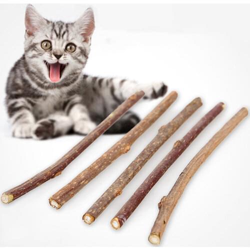 5 Sticks Natural Catmint Cat Toy Pet Accessories Snack Added Edible Catnip Interactive Fishing Game Animal Supplies Drunk Kitten