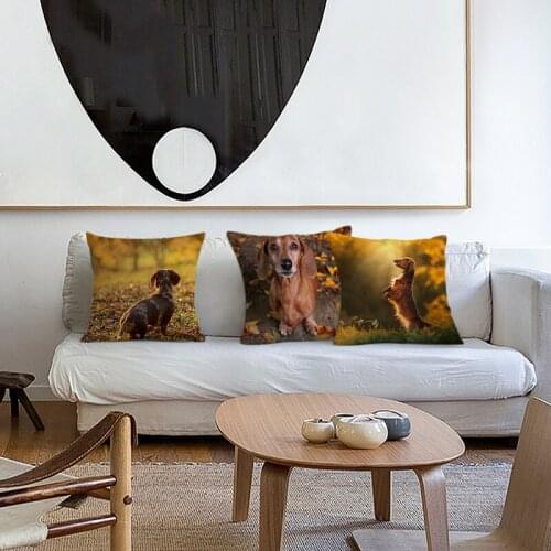 Dachshund Dog Cushion Cover For Living Room Sofa Pillow Cover For Puggy Decorative Pillows Bedroom Housse De Coussin Home Decor