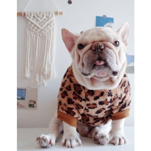 Fashion Dog Leopard Print Coat 2-legged Hooded Coat Warm Clothes Jacket Pet Puppy Hoodie for Small Medium Large Dogs In Winter