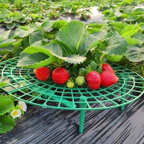 5/10/20pcs Fruit Supports Stand Holders Balcony Planting Racks Strawberry Support Flower Climbing Vine Pillar Garden Frame Stand