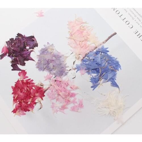 120pcs Centaurea Cornflower Pressed Dried Flower Filler For Epoxy Resin Jewelry Making Postcard Frame Phone Case Craft DIY