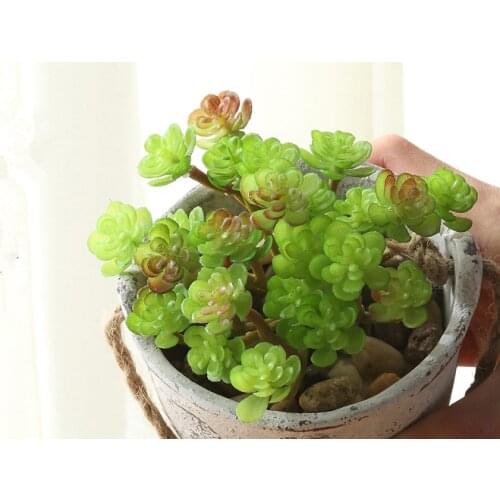 Artificial fleshiness Cactus Lotus Succulent plant microlandschaft decorative flower home vase decoration
