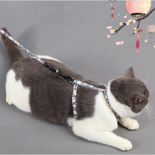 Round Rope Traction Belt Cat Collars Leads Harness Fashion Accessories Kittens Pets for Cats Pet Products Collars|-f-| Harnesses
