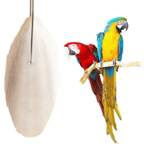 1 Bag Cuttlefish Bone Sepia Bone Cuttle Fish Bird Food Calcium Pickstone Pet Supplies Parrot Birds Teeth Molar Training Supplies