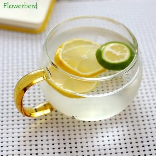 Coffee Mug Coffee Cup Drinkware Borosilicate Glass Mug for Household Use with Handle Soak Mug Tea Cup Mug Glass Single Layer Mug