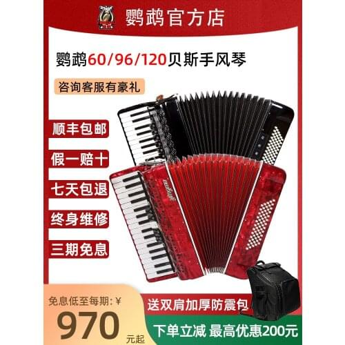 60/96/120 Bass Accordion Educational Musical Instrument