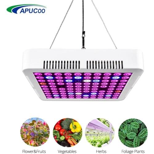 Apucoo Goods For Sports And Recreation