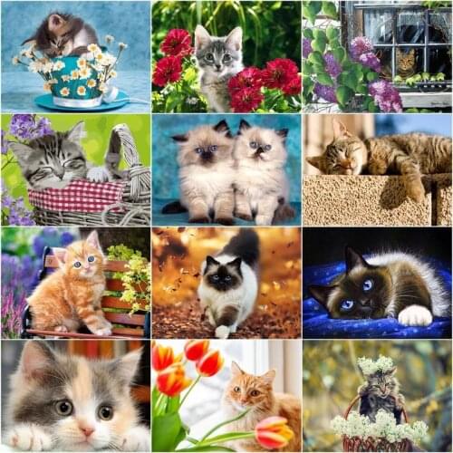 CHENISTORY Framess Oil Painting Cute Cat Animals Diy Pictures By Number Home Decoration Wall Art Canvas For Adult 60x75cm