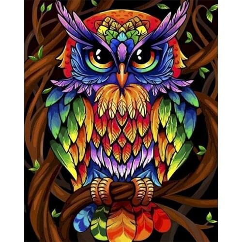 Colorful Owl Paints By Numbers Animals 40x50cm Pictures Oil Painting By Numbers Set Gift Acrylic Coloring By Numbers Canvas Wall