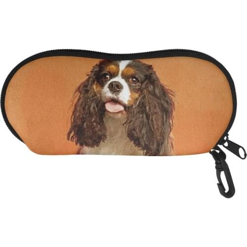 Cute Cat Printed Fashion Unisex Glasses Box with Lanyard Zipper Eyeglass Cases for Men Women Portable Eyewear Accessories