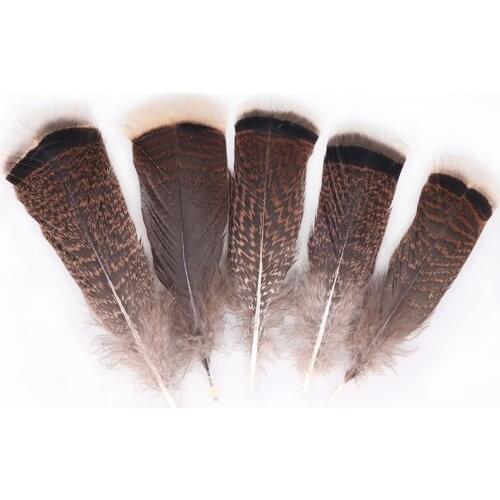 The New 100pcs/lot Natural Turkey Feathers 10-15cmcm/6-8inch Jewelry for Diy Carnival Wedding Plume