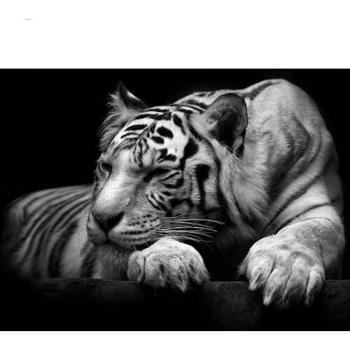 Full Square&Round Diamond Painting tiger Home Decor Diamond Mosaic Needlework,Diamond Embroidery horse painting Handmade Gift