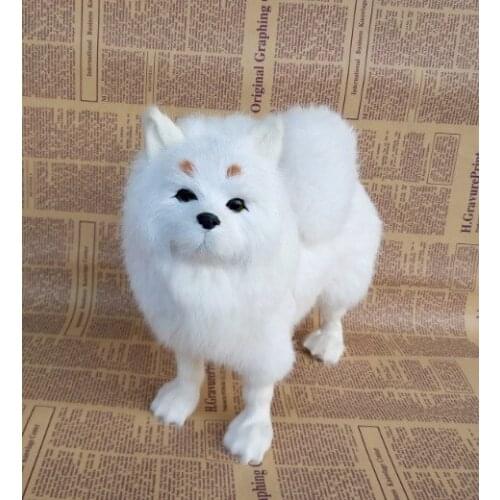 Large 27x25cm real life toy white Pomeranian dog hard model home decoration gift h1155