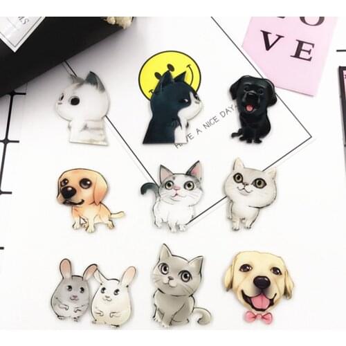 12 Pieces/Lot Cartoon Cat Badge Acrylic Brooches Harajuku Husky Dog Clothes Jeans Collar Scarf Pin Animals Jewelry Women Men