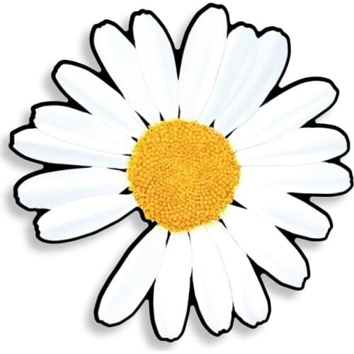 White Flowers Car Sticker Decal Decor Motorcycle Off-road Laptop Trunk Guitar PVC Vinyl Sticker JDM JEEP Van Bike Deco Meterial