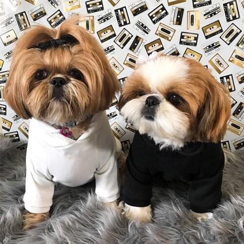 French Bulldog Autumn spring cool hoodies fashion costume PC1034