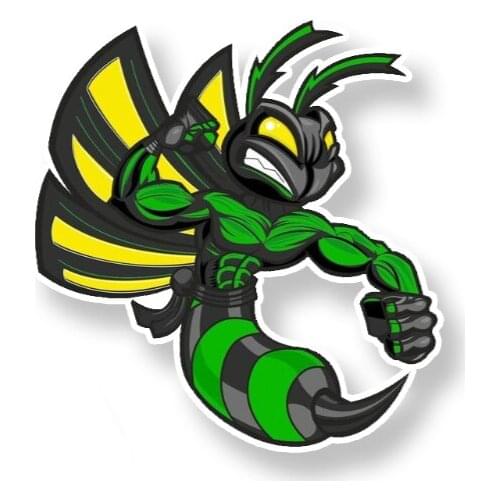 Cool Lovely Cartoon Car Sticker Hornets Colored PVC Bumper Window Graphic Decoration Car Accessories 15cm*14cm