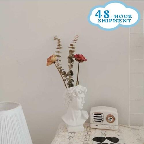 Modern Nordic Style Creative Portrait Vase Human Head Flower Vases Decorative Ornaments Resin David Home Flowers Art Decor