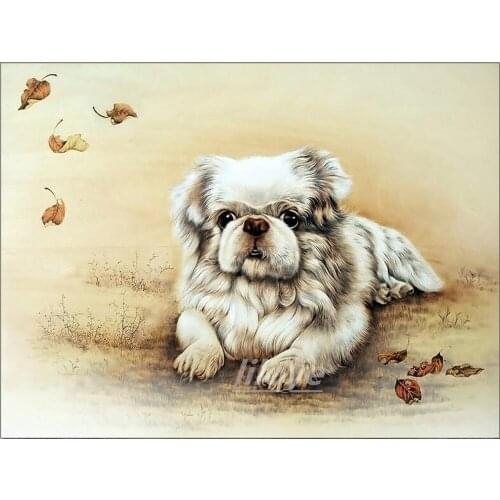 5D DIY Diamond Painting Full Square Round 3D Embroidery Animal Dog Pictures of Rhinestones Cross Stitch Kits Room Decor DF629