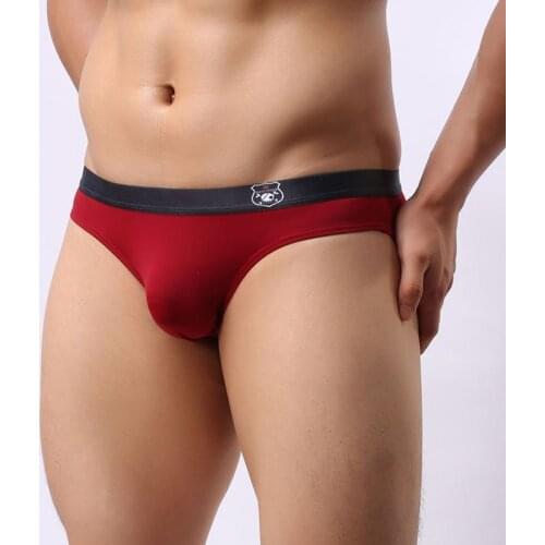 Brave Person Sexy Briefs Mens Mesh Nylon Underwear Breathalbe Male Men Briefs Men Underwear Calzoncillos Sexy Hombre