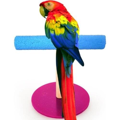 Creative Parrot Toy T-Shaped Bird Perch Stand Wooden Bird Cockatiel Pigeon Training Intelligence Toy Pet Parakeet Birds Supplies