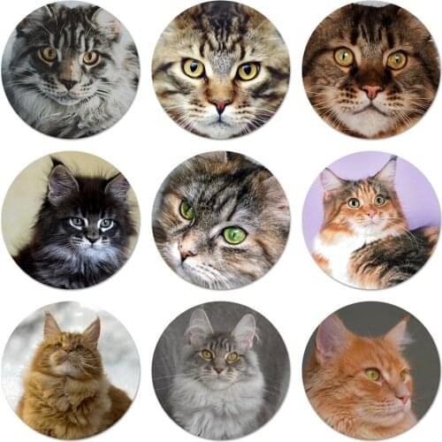 Pet maine coon cat Badge Brooch Pin Accessories For Clothes Backpack Decoration gift 58mm
