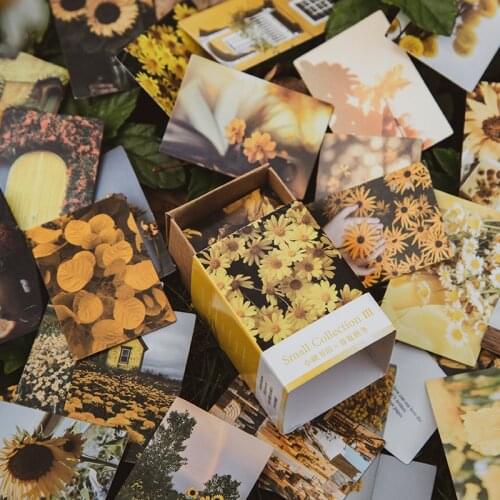 100 Pcs Spring summer autumn winter Kraft Paper Mini Greeting Card Vintage flower Postcard Letter Envelope Decoration LOMO Cards