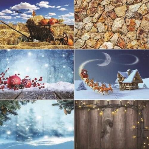 ZHISUXI Vinyl Custom Photography Backdrops Prop festival Theme Photography Background #0049