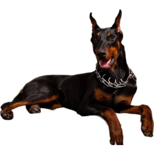 Dog Necklace Training Animal Chain Pet Supplies Necklet Stimulate Metal Detachable Neck Strap