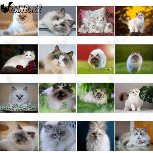 Diamond Painting Animal Cross Stitch Cat Mosaic Picture 5D Diy Cute Kitten Round Diamond Inlaid Household Room Decoration Gift