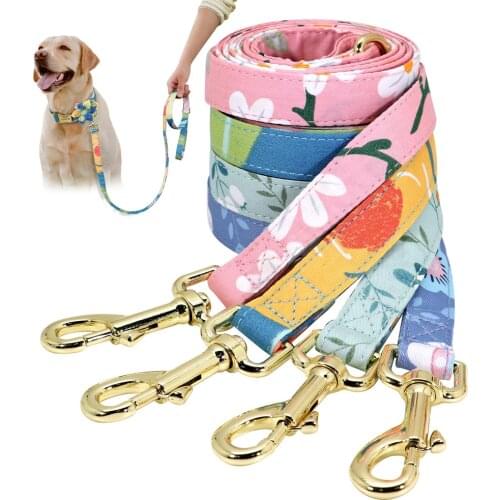 Nylon Dog Leash Printed Dog Leash Rope For Small Medium Dogs Walking 120cm Soft Pet Chihuahua Walking Lead Leashes