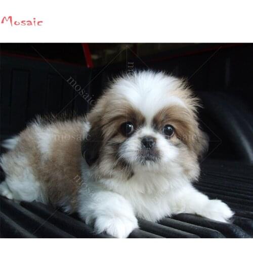 Diamond Embroidery,diy 5D Diamond Painting"shih tzu dog"Cross Stitch Mosaic Full Square/round Rhinestones painting wall decor