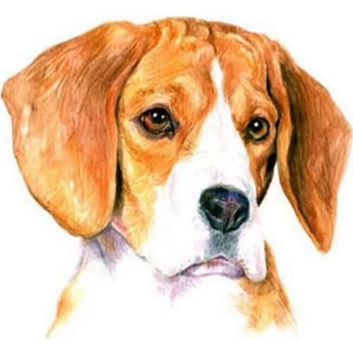 5D DIY Diamond Embroidery Beagle dogs Diamond Painting Accessories Cross Stitch kit Full Drill Rhinestone Mosaic decor Gift G125