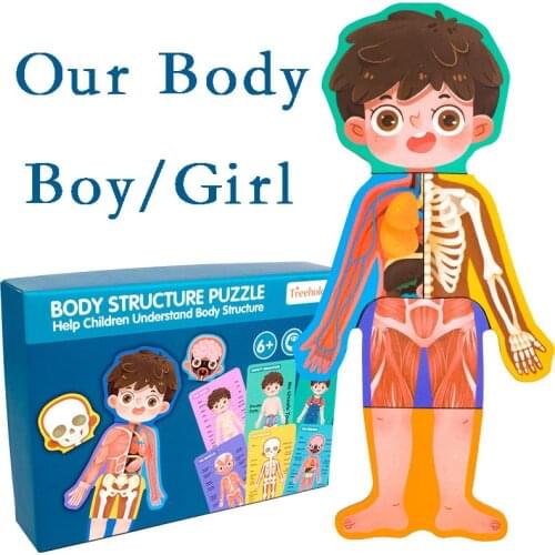 Human Body Structure Cognitive Toys Children Bio Wooden Puzzle Boy Girl Safety Early Education Books Manga Comic Kids Libros Art