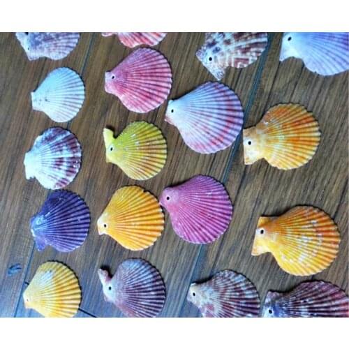 HappyKiss 50pcs/lot Natural conch shell colorful home decoration romantic baileyi fish tank vase accessories crafts