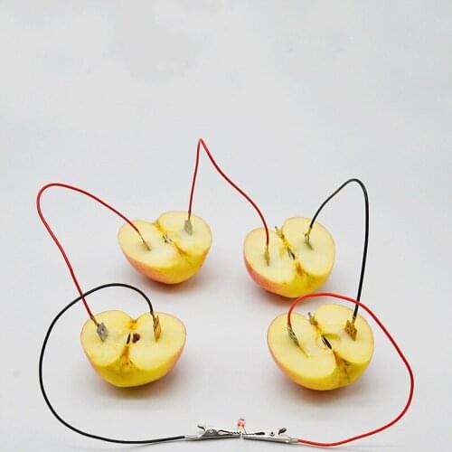 Scientific experiment of fruit power generation Cola fruit battery Experimental materials Plug type electrode material