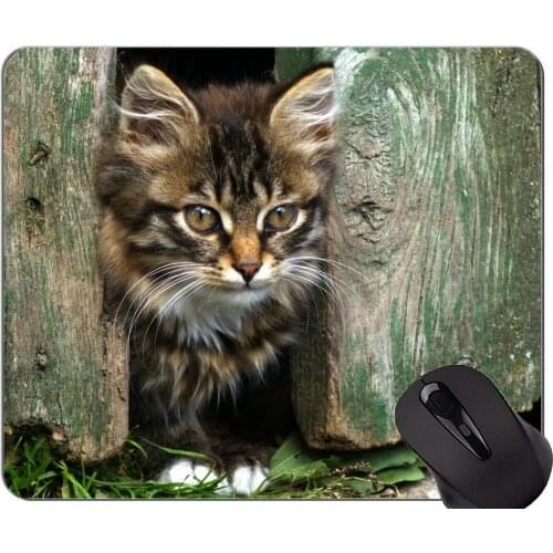 Mouse Pad with Stitched Edge,Lively Kitten fence cat Home Office Computer Accessories Mousepads