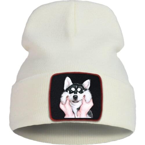 Lovely Cute Husky Dog Bonnet Caps Women Winter Cotton Warm Skullies Hat Men Outdoor Hip Hop Knitted Cap Soft Unisex Beanie Hats